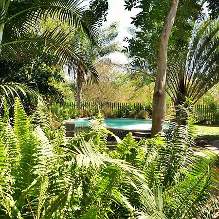 Chobe River Cottages Kasane Extérieur photo